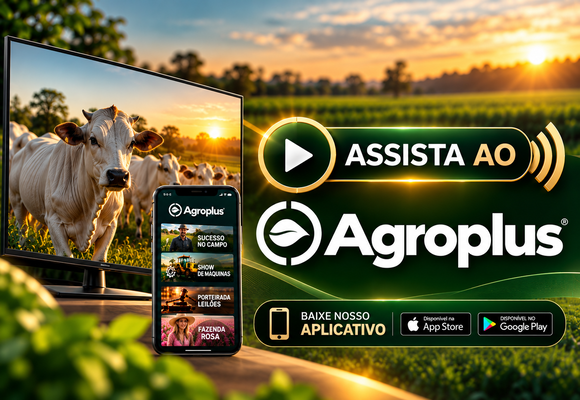 Assista ao vivo