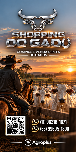 shopping do gado 