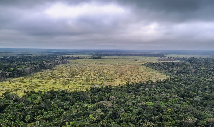 Estudo quer fim do desmatamento legal para zerar gases estufa no país 