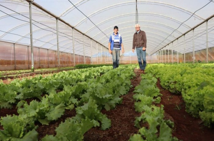 Fundect lança edital de extensão tecnológica para agricultores familiares, povos originários e comunidades tradicionais