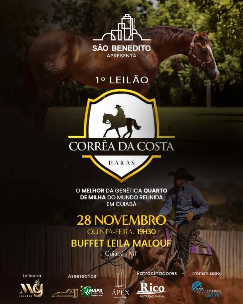 Haras Corrêa da Costa realiza primeiro leilão da genética Quarto de Milha.