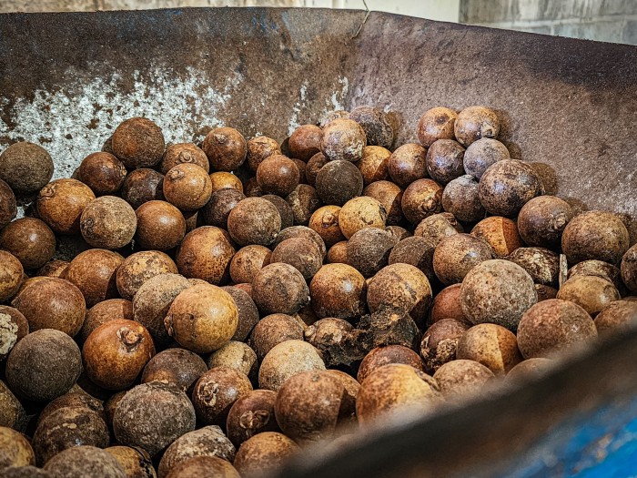 Incentivo do Governo de Minas beneficia 4,8 mil agricultores que coletam e processam frutos do Cerrado mineiro