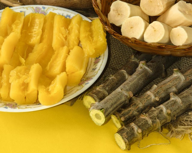 Pesquisa apoiada pela Fapemig desenvolve bebida fermentada à base de mandioca