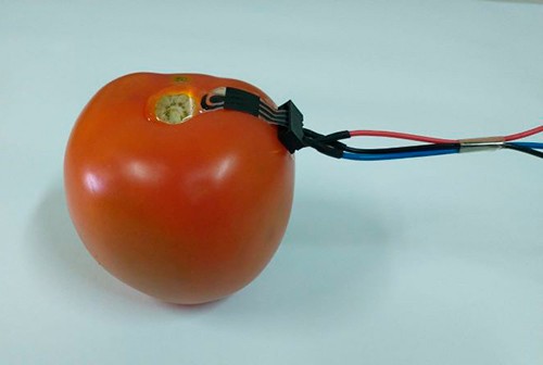 Sensor da USP monitora níveis de pesticidas sobre a pele de frutas, verduras e legumes