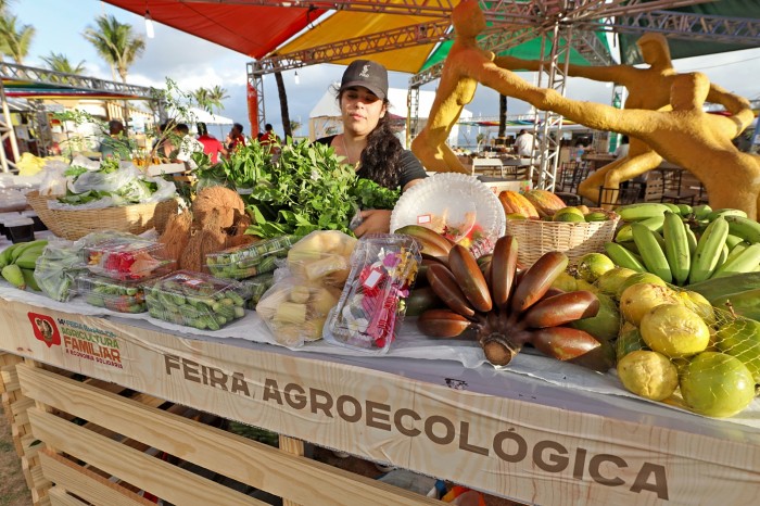 Tenda Brasil apresenta produtos da agricultura familiar de diversas regiões do Brasil no Parque Costa Azul