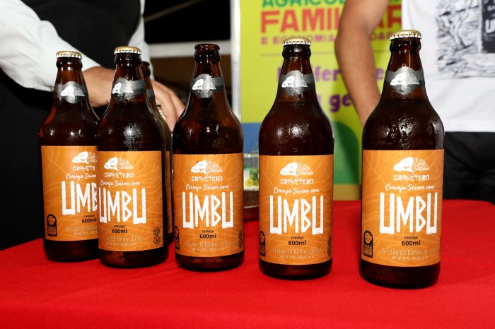 Cerveja de Umbu do Sertão do São Francisco será distribuída para todo Brasil, em parceria com a Ambev