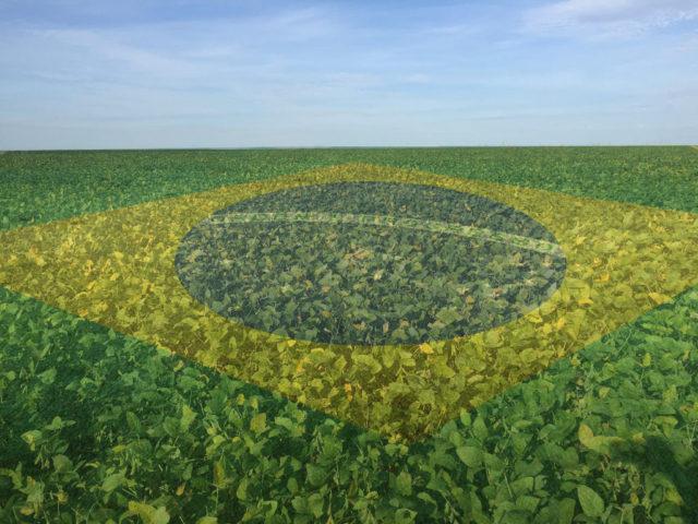 Medalha de ouro para o Brasil AGRO