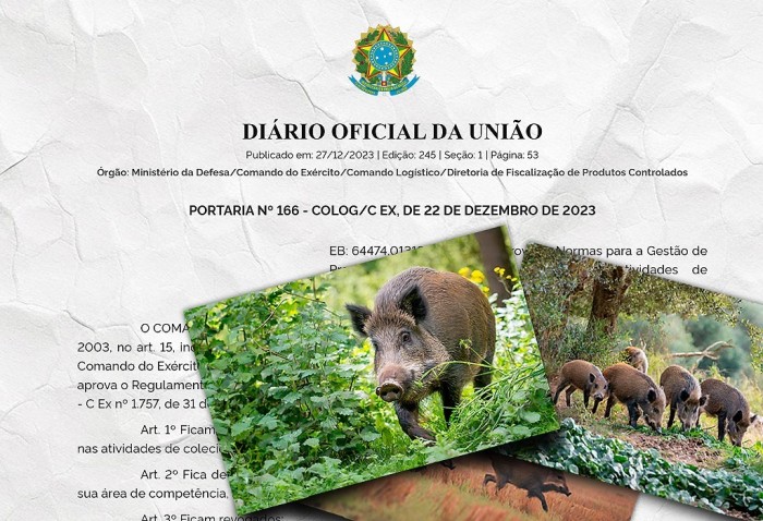 Após sanção da lei que autoriza controle populacional de javalis, Exército atualiza normas
