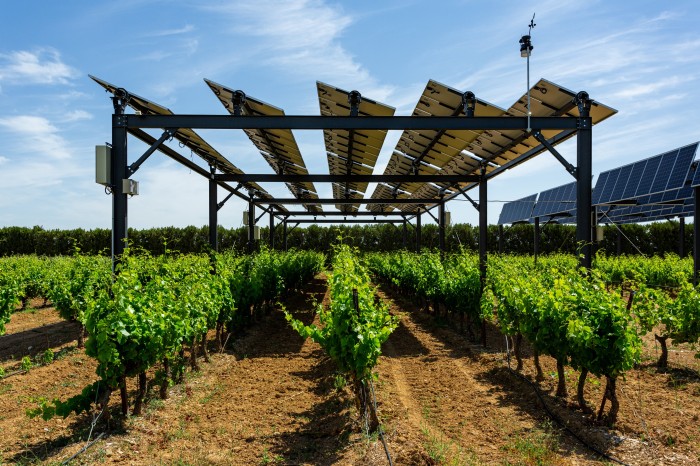 Projeto sobre uso de energia solar na agricultura avança em Minas Gerais