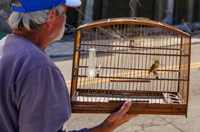 Nota técnica informa a manutenção da suspensão de eventos com aglomeração de aves em Santa Catarina