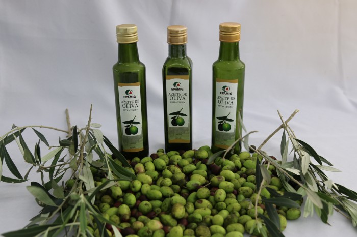 Epamig inaugura melhorias na agroindústria de extração de azeite