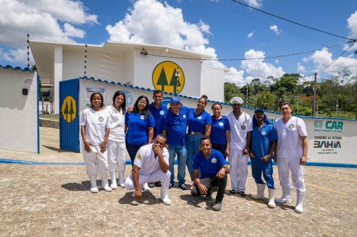 Cooperativa amplia vendas em 100% e transforma vida de agricultores familiares do Baixo Sul 