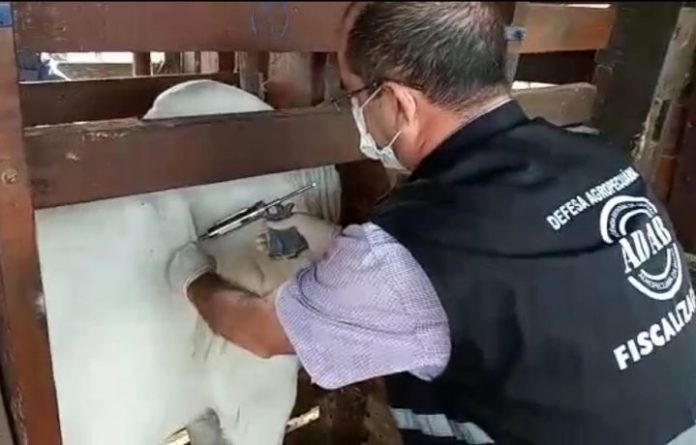 Governo publica edital de concurso público para 160 vagas na Agência Estadual de Defesa Agropecuária da Bahia