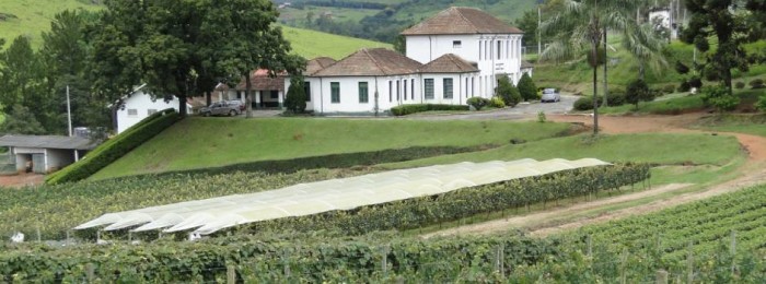 Reforma vai ampliar atuação de vinícola da Epamig, no Sul de Minas