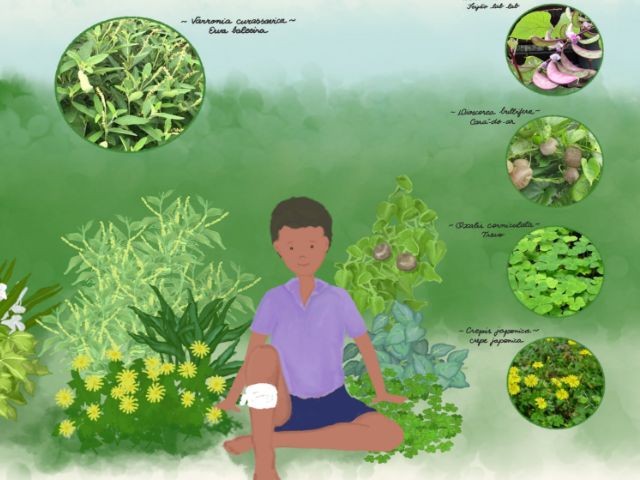 Epagri disponibiliza livro infantil sobre PANCs para download